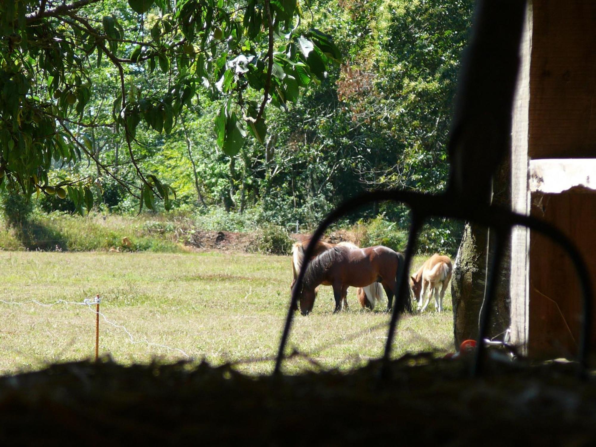 La Ferme De Kerhors Hotel Tréméoc Kültér fotó
