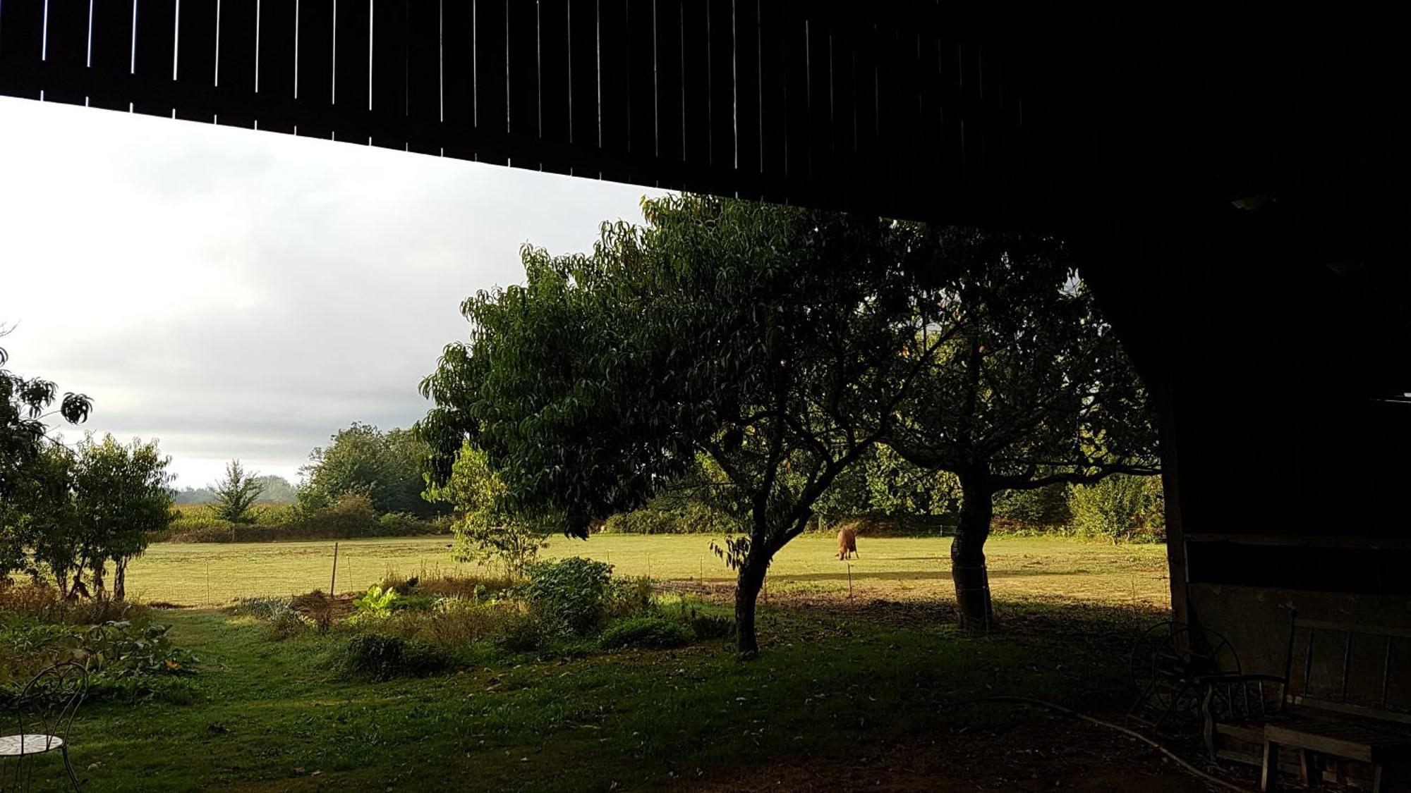 La Ferme De Kerhors Hotel Tréméoc Kültér fotó