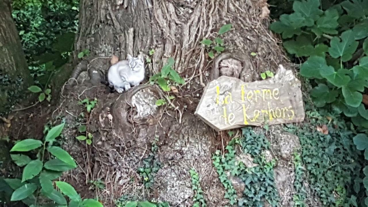 La Ferme De Kerhors Hotel Tréméoc Kültér fotó